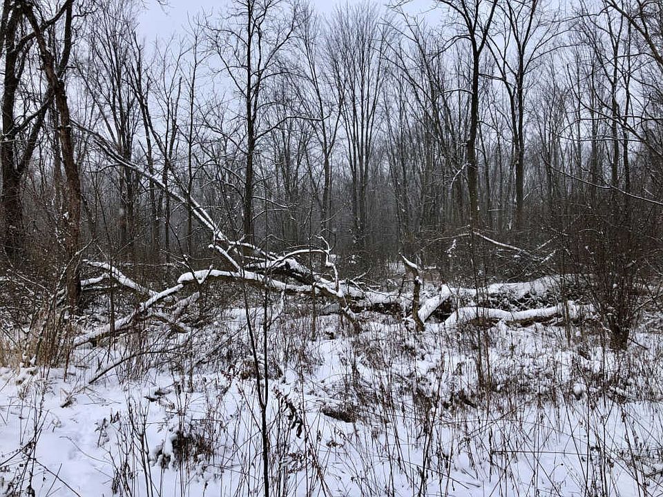 2nd image of 576 41st St