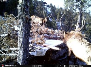 Shop Gulch, Mount Vernon, OR 97865