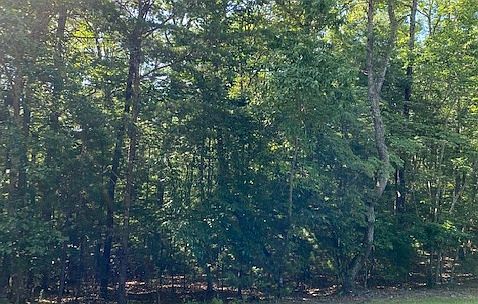2nd image of Quail Cove Ln