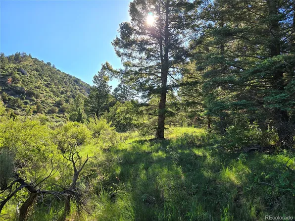 5941 Forbes Road, San Luis, CO 81152