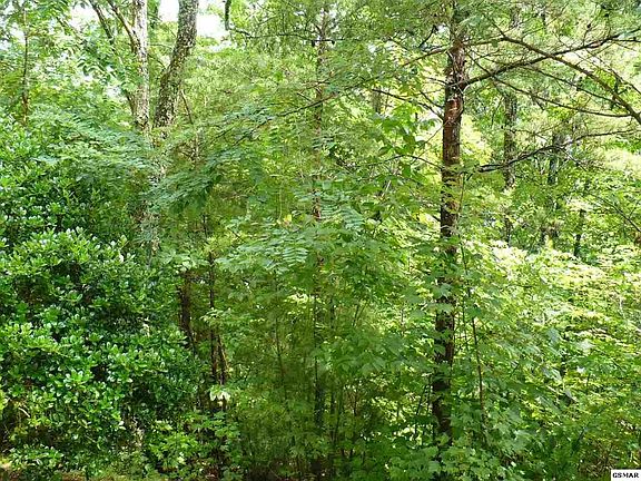3rd image of 29 Quail Way Lot 29-R