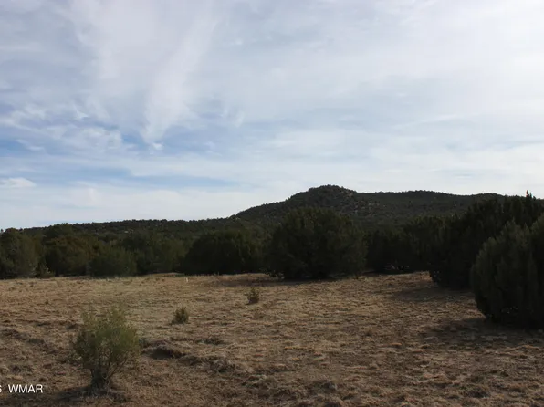45 County Road 3035, Concho, AZ 85924