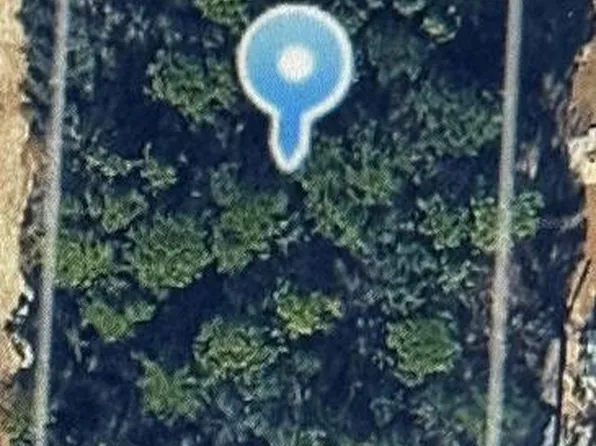 SW 146TH PLACE, OCALA, FL 34473