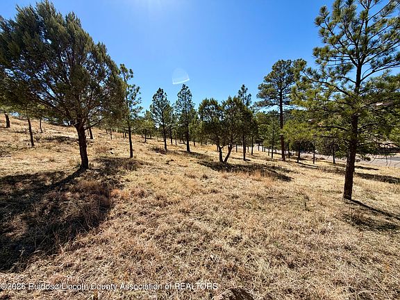 2nd image of 114 Charles McClellan Dr