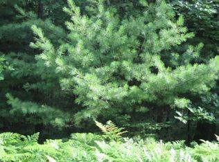 Xxx W Lansing Rd, Roscommon, MI 48653