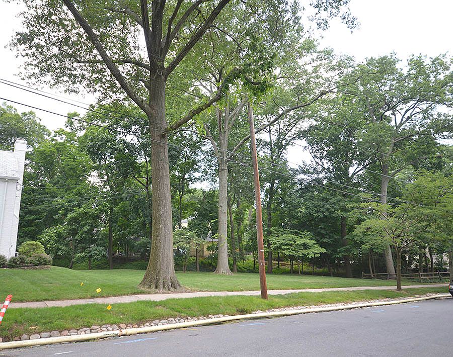 2nd image of 11-15 Curtis Pl
