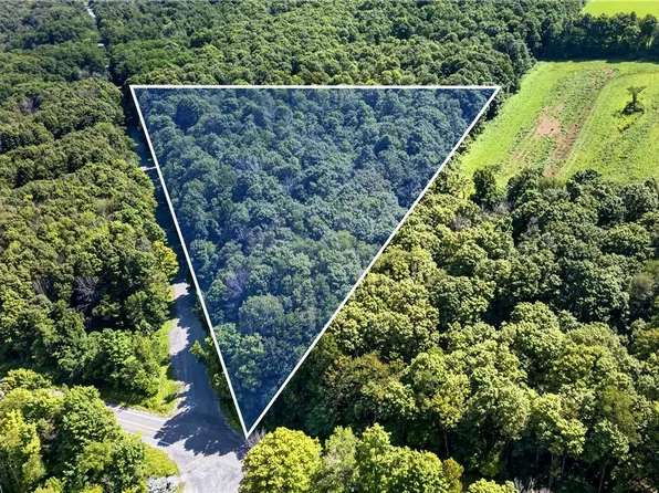 Becker Rd Lot 8, Skaneateles, NY 13152