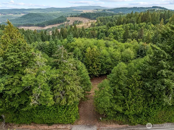 0 Mt Brynion Road, Kelso, WA 98626