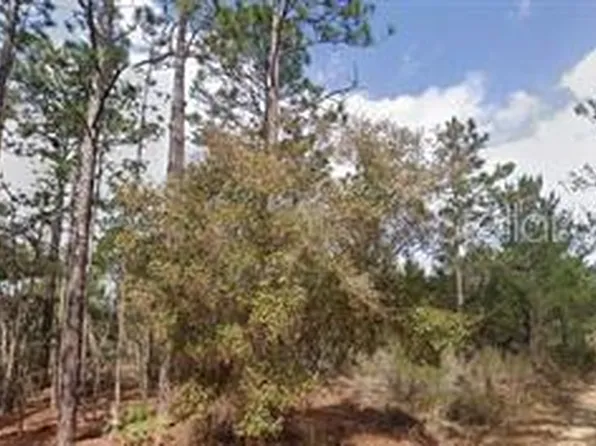 Akron St Lot 19-20, Interlachen, FL 32148