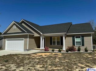 6687 George Coker Ln, Cheraw, SC 29520