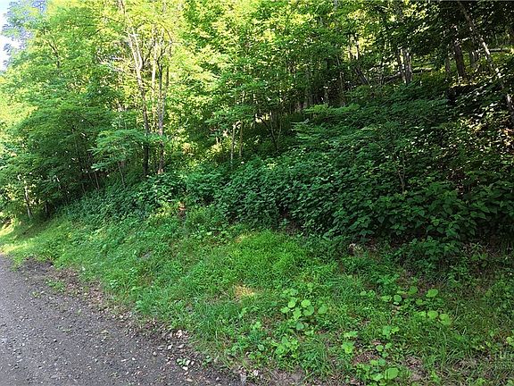 4th image of TBD Lot BW Little Tree Road