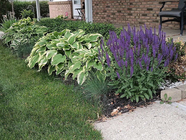 Front Landscape in Season