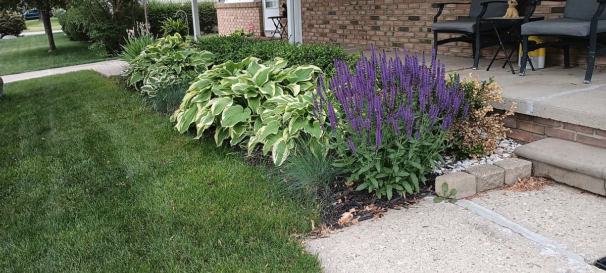Front Landscape in Season - 2907 Averill Dr
