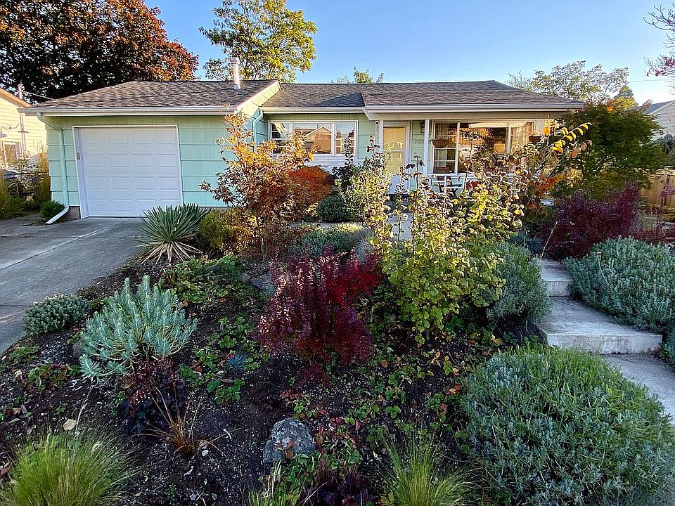 Front yard