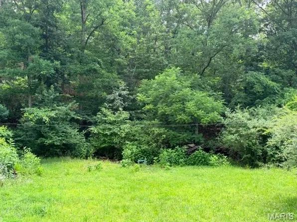 0 NE 6th St, Mill Spring, MO 63952
