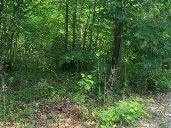 LOT 12 Suter Dr, Kawartha Lakes, ON K0M 2B0
