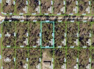 13352 Schick Ave Lot 4, Brooksville, FL 34614
