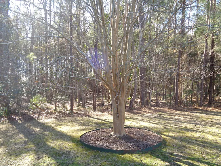 6 Coburn Ln — Photo 24