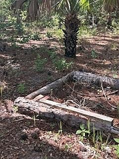 2nd image of 37610 OAKLEE ROAD LOT 120