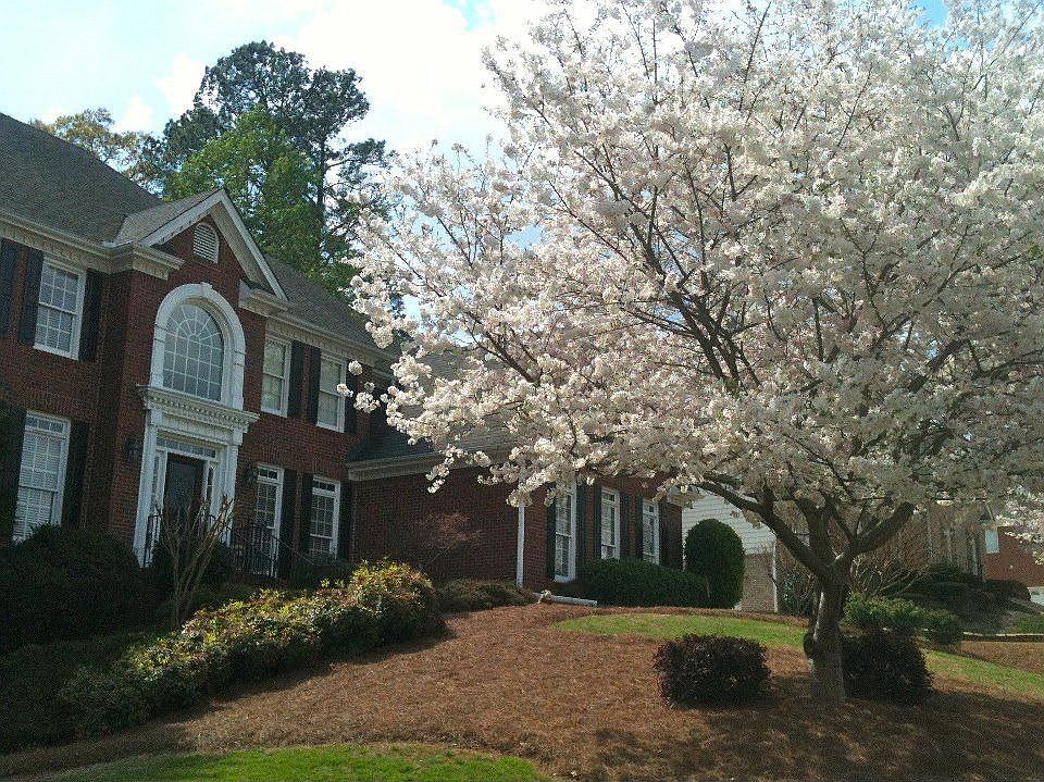 1st image of 1212 Braeburn Dr