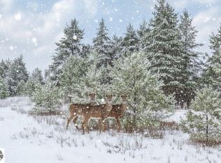 PARCEL N 2 1/2 Rd #F, Buckley, MI 49620