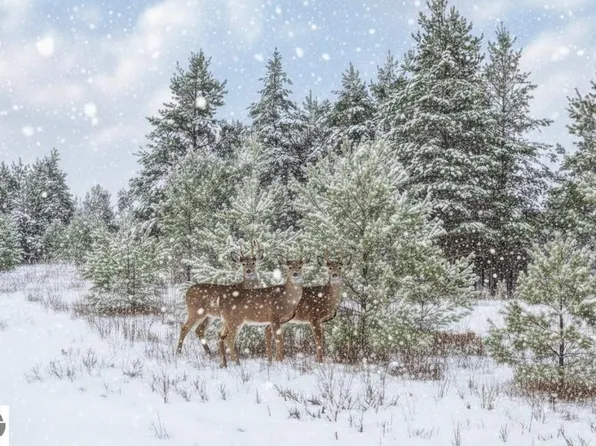 PARCEL N 2 1/2 Rd #F, Buckley, MI 49620