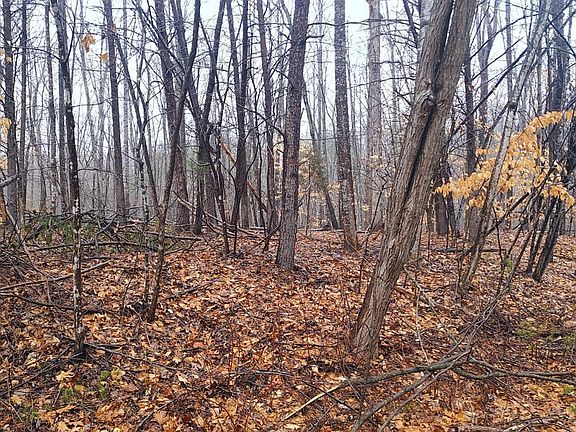 2nd image of 0 Brook Run #Lot 27