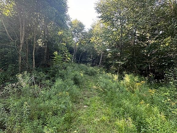 2nd image of 0 Brimfield Rd