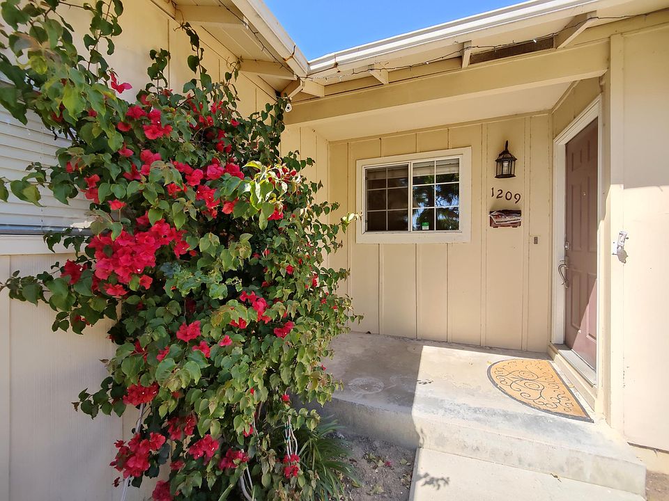 Beautiful climbing flowers around the front door