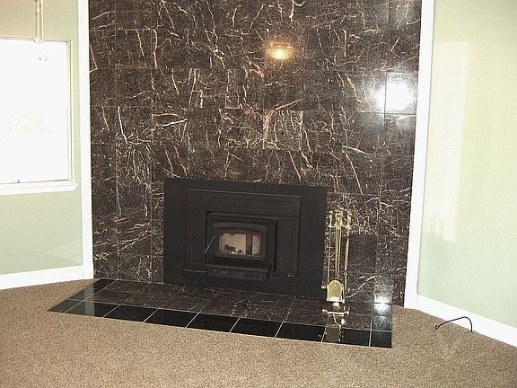 Wood Stove Insert & Hearth