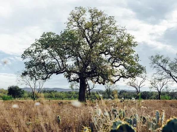 0 W Us Highway 290, Johnson City, TX 78636