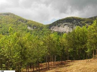 293 Foggy Cut Ln, Landrum, SC 29356