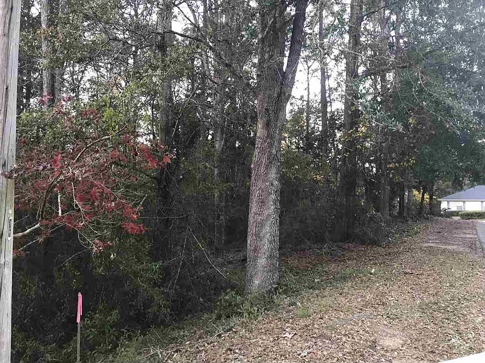 2nd image of 667 Ridgewood Dr