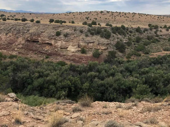 100 River Springs Ranch -- #100, St Johns, AZ 85936