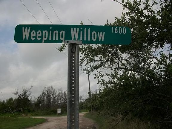 4th image of 1605 Weeping Willow