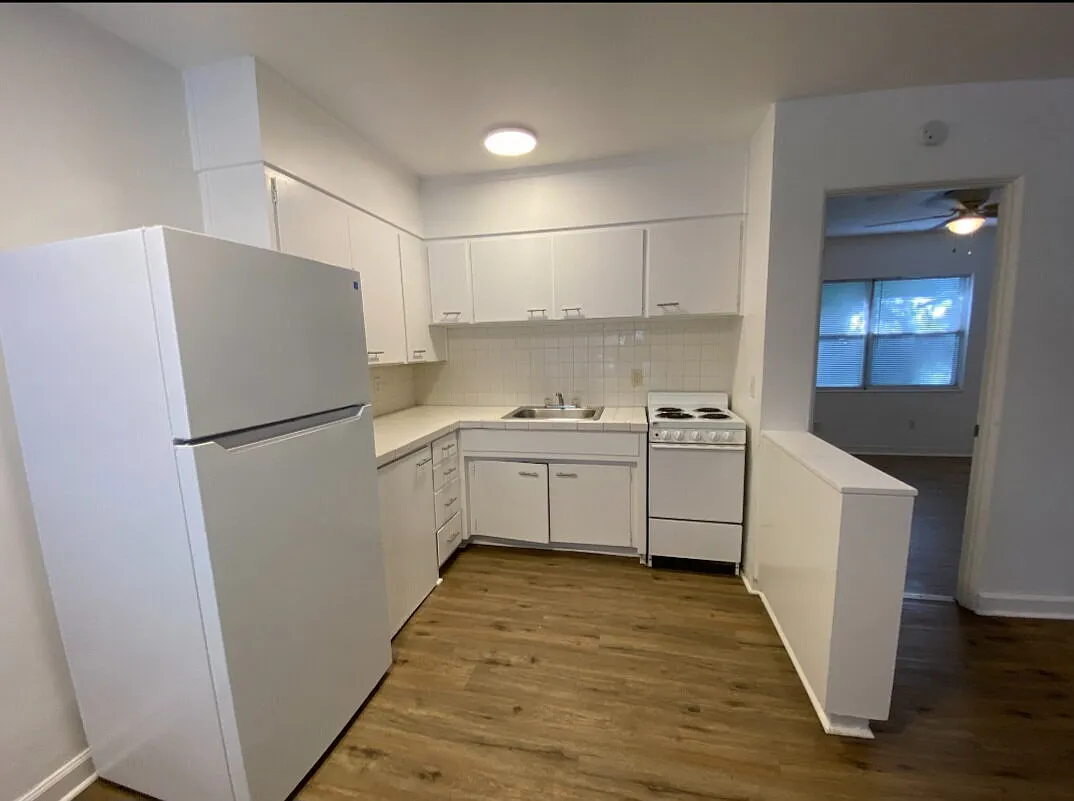 1 bed, 1.0 bath, 550 sqft, $1,000 — Photo 4