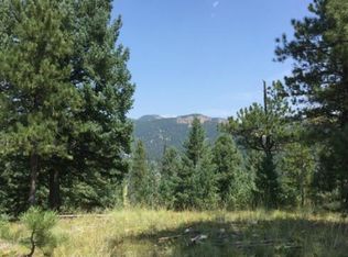 33225 Diana Rd, Pine, CO 80470