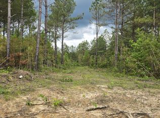 10 Holly Woods, Robbins, TN 37852