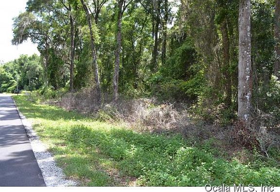 2nd image of 49 Lake Wood Cir