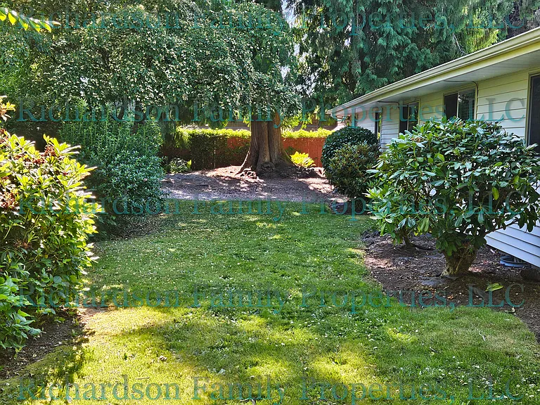 back yard - south side of house