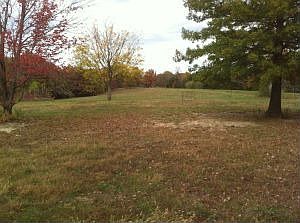 1st image of 1701 E Calvin Dr