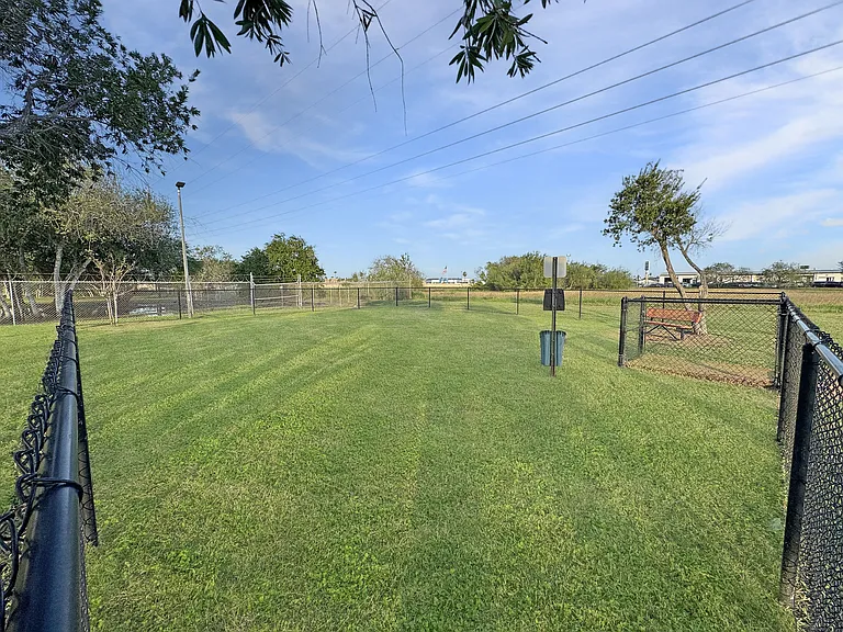 Expansive green lawn perfect for pets at Los Cedros Apartments in Brownsville, Texas.