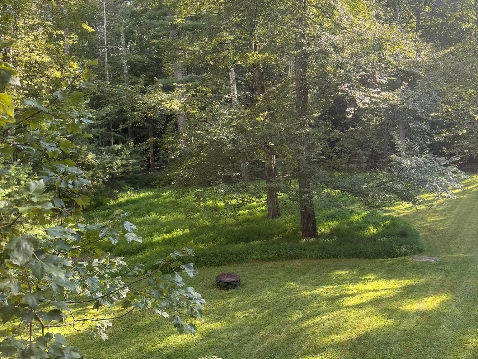 2 bed, 1200 sqft, $900 — Photo 4