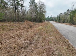 Chisolm Ct LOT 2, Cleveland, TX 77328