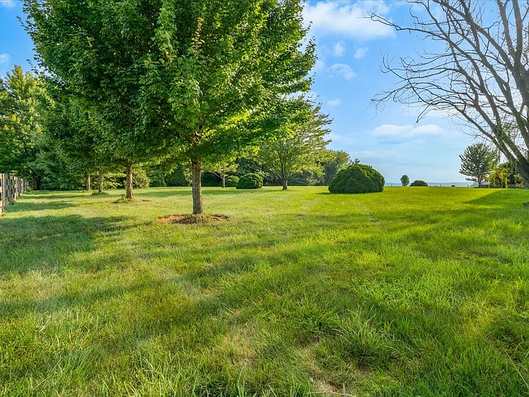 Trees give full privacy in the rear of the home