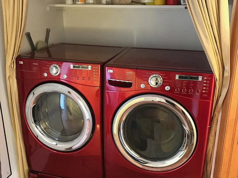 FANCY Steam Washer and Sensor Dryer!