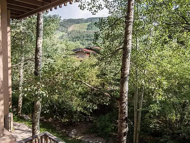 980 Vail View Dr — Photo 1