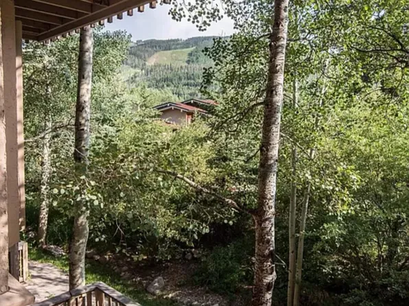 980 Vail View Dr, Vail, CO 81657
