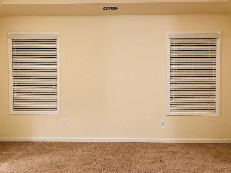Master bedroom side windows
