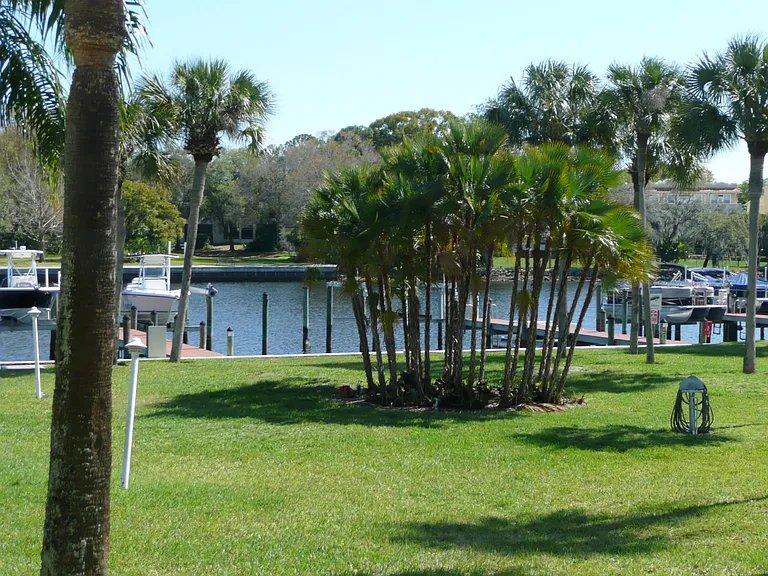 2424 W Tampa Bay Blvd #B106 — Photo 16